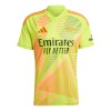 Officiële Voetbalshirt Doelman Arsenal Thuis 2024-25 - Heren